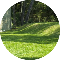 septic-services-mini